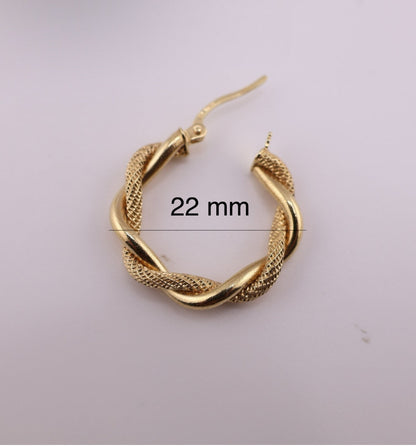 Aretes retorcidos lisos y satinados